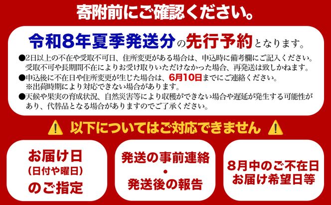 最高級マンゴー　宝珠１kg 【熱帯資源植物研究所】