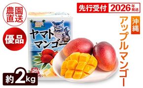 【化粧箱入】【先行受付・2026年発送】ヤマト農園 アップルマンゴー約2kg（優品）- 先行予約 沖縄県産 産地直送 南国フルーツ 旬の味覚 季節の果物 贈り物 ギフト 沖縄県 八重瀬町