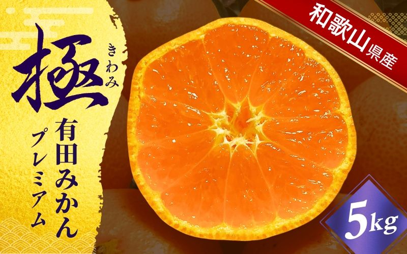 [極] 有田みかん 「プレミアム」 約5kg[選りすぐりの上位20%をお届け!]2S〜Lサイズ 有機質肥料100% ※2025年11月下旬〜2026年1月上旬頃順次発送 ※北海道・沖縄・離島への配送不