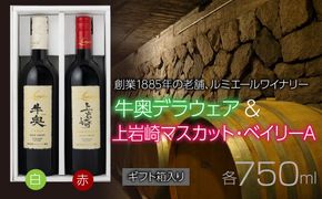 ルミエール　牛奥デラウェア & 上岩崎マスカット・ベイリーA 【ギフト箱入】　ギフトセット　ワインセット　日本ワイン 063-022