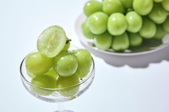 yRxm쒬zy2026N s\zAyx20xȏzɏVC}XJbg Skgȏ  t[c RY ʕ VC }XJbg Ԃǂ uhE 嗱 Ȃ