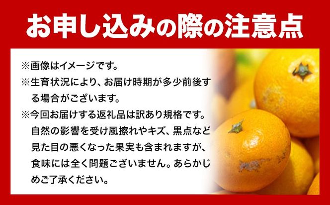 ご家庭用・訳あり わかやま旬のカンキツ定期便【S】【M】 全4回 合計11kg または 合計18.5kg 有田マルシェ《発送月固定・全4回出荷》和歌山県 日高町 フルーツ 果物 柑橘 ご家庭用 訳あり 有田みかん 清見オレンジ カラマンダリン 完熟 青切---wsh_armstei_24_28000_91134y4---