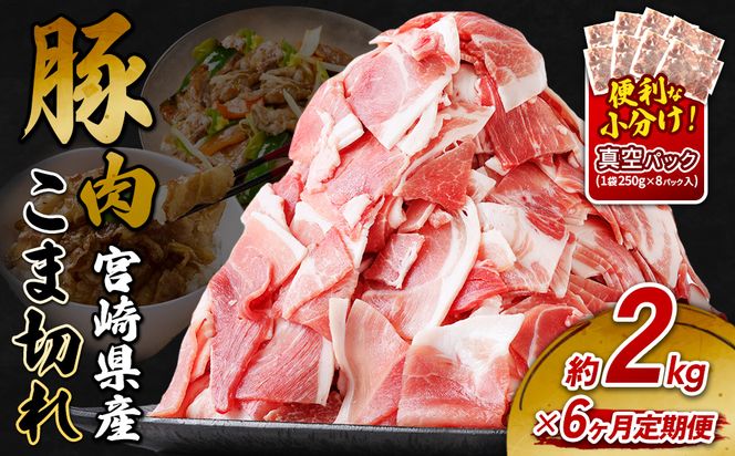 定期便 6回お届け 宮崎県産 いもこ豚 小間切れ 2kg (250g×8パック) 真空パック 小分け 豚肉 えびの市