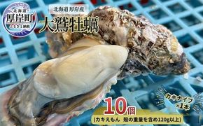 北海道 厚岸産 大鷲牡蠣 10個 カキ 牡蠣 殻牡蠣 魚貝類 海鮮 海の幸 生牡蠣 カキえもん 生食用牡蠣 殻付かき つまみ お酒のあて 