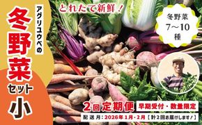 【 2回定期便 早期受付 数量限定 】 とれたて 新鮮 農家直送 アグリユウベの冬野菜セット (小) 国産 野菜セット 野菜便 やさい 野菜 冬野菜 産地直送 国産 高知県 四万十市 四万十 しまんと 定期便 【配送月：2026年1月・2月】25-398