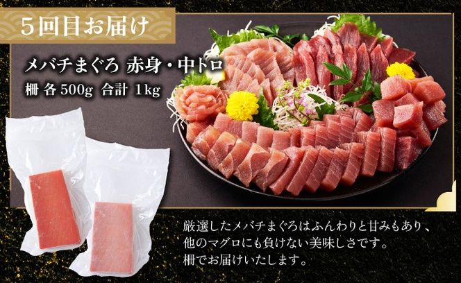 【定期便 全6回】 タカシン水産厳選 高知の海鮮セット 定期便 福袋 海鮮 詰め合わせ タタキ まぐろ マグロ 本まぐろ ネギトロ かつお カツオ 鰹 かつおのたたき カツオタタキ タタキ 魚介 高知 室戸 all!