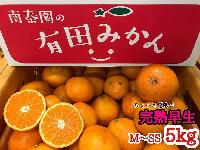 定期便 先行受付 2025年 10月発送スタート 有田みかん 食べくらべ 3種 ちょっと傷あり 5kg × 3回 コース 南泰園 BS816