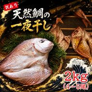 天然鯛の一夜干し 訳あり 2.0kg（４尾〜５尾） 干物 タイ おかず つまみ_1613R