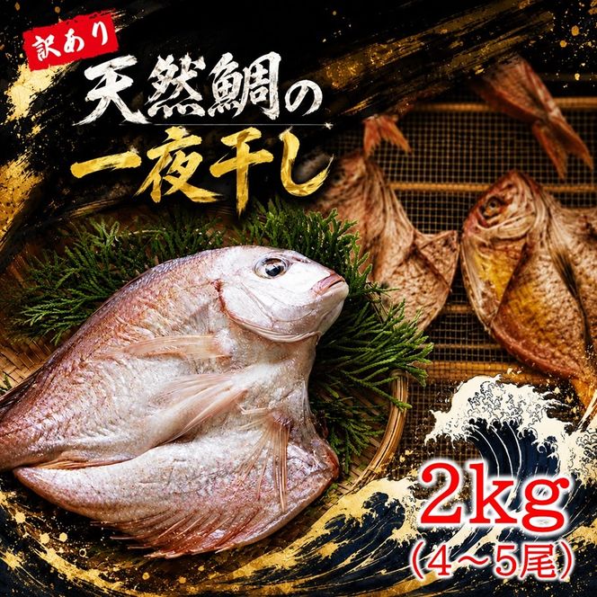 天然鯛の一夜干し 訳あり 2.0kg（４尾〜５尾） 干物 タイ おかず つまみ_1613R