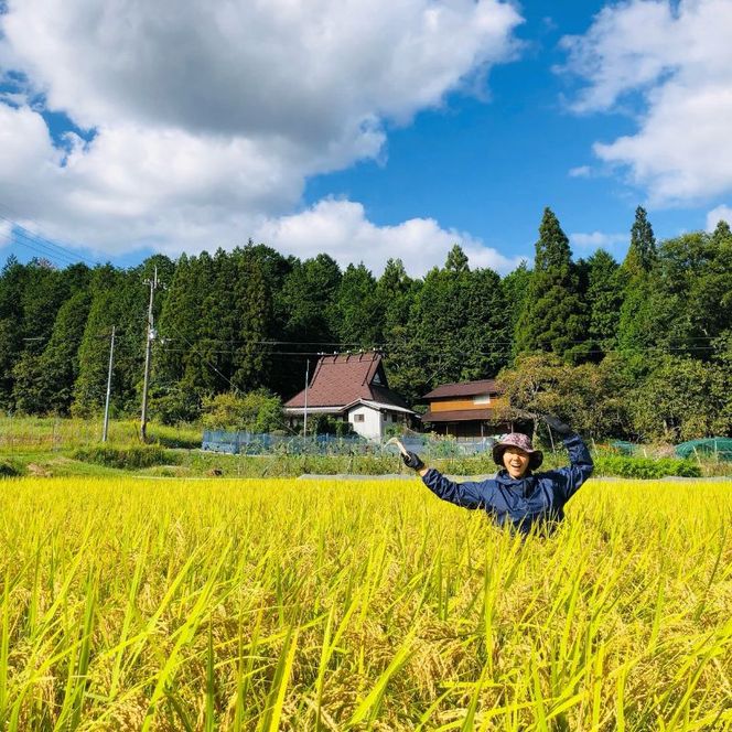 こだわりすぎたお米！自然栽培・天日干しの京都旭一号 白米3kg 栽培期間中農薬不使用米 無肥料米 栽培期間中化学使用不使用 希少品種 京都丹波地域 南丹市産 うるち米 白米 米 お米
