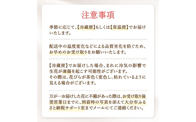 【R07013】季節の花束 旬のお花をお届けします ≪1回お届け≫