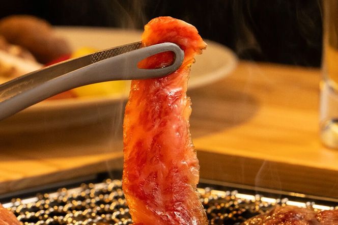 お食事券 ホテルパークテラスOGA 10,000円分（1,000円×10枚） 秋田県 男鹿市 [食事 チケット ランチ レストラン ディナー バーベキュー BBQ 料理]|23_smk-021001