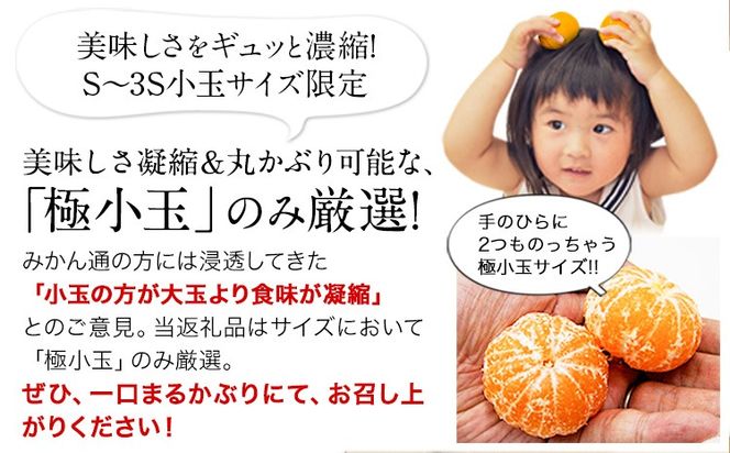 訳あり みかん 小玉みかん 定期便 くまもと小玉みかん 5kg (2.5kg×2箱) 10kg (10kg×1箱) 選べる回数 秋 旬 不揃い 傷 ご家庭用 SDGs 小玉 たっぷり 熊本県 産 S-3Sサイズ フルーツ 旬 柑橘 長洲町 温州みかん《10月から出荷》---fn_nkdmtei_24_10500_5kg_oct2---