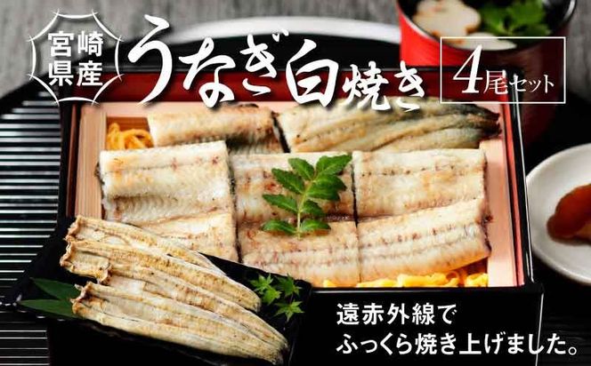 y{茧؏钬z{茧Y Ȃ Ă 4Zbg K10_0014_2