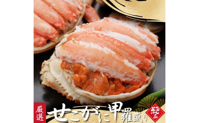 y挧szZR b 2 312011_FT013