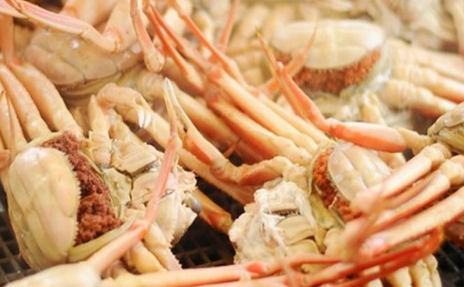 茹で越前ガニ【期間限定】食通もうなる本場の味をぜひ、ご堪能ください。セイコガニセット 約1kg＋セイコガニ3杯 越前がに 越前かに 越前カニ カニ ボイルガニ 蟹 