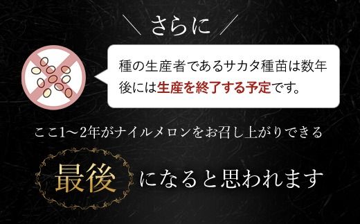 【2025年分先行予約】幻のナイルメロン　全国で10人ほどの農家でしか栽培されていない幻のメロン　約1.5kg×2玉 / メロン ナイルメロン 幻のメロン 甜瓜 青肉 青肉メロン 千葉県 山武市 SMAE001