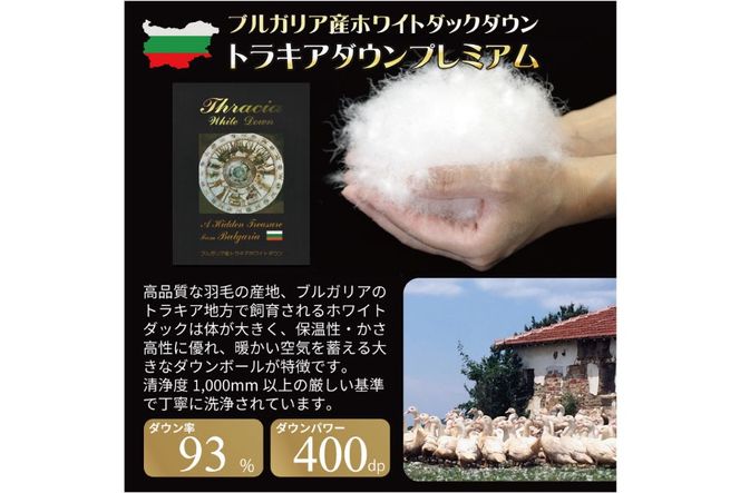訳あり 羽毛布団 セミダブル 冬用 色柄おまかせ 掛け布団 冬 本掛け ブルガリア産 ホワイトダックダウン 93％ 1.5kg 400dp 80番手サテン 布団 ふとん 羽毛ふとん 掛布団 日本製 数量限定 寝具 羽毛掛け布団 訳アリダウン ダウンケット [川村羽毛 山梨県 韮崎市 20743066]