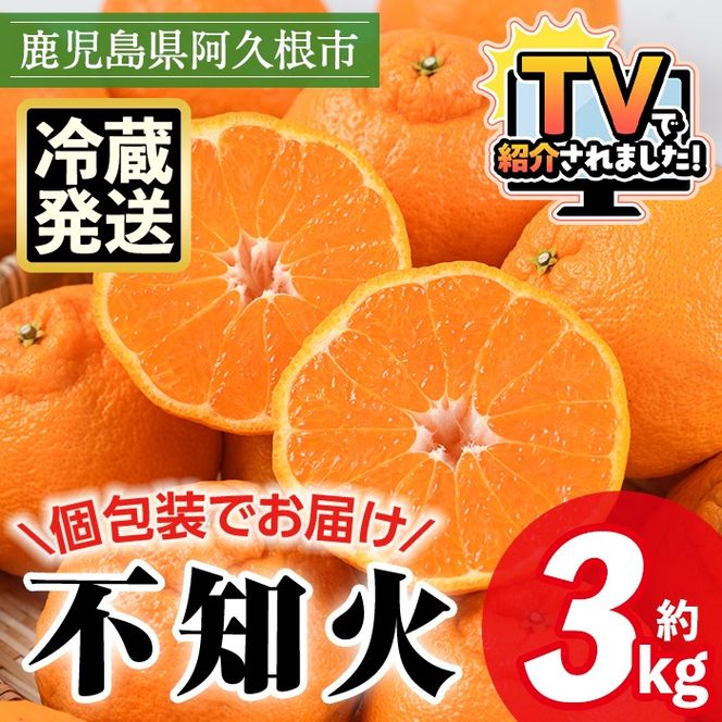 ＜先行予約受付中！2026年4月上旬以降順次発送予定＞数量限定！冷蔵不知火「クールな大将季」(計約3kg) 国産 みかん ミカン 柑橘 フルーツ 果物 旬 デザート 数量限定 阿久根市産 露地 しらぬい シラヌイ 冷蔵 期間限定 クール【三笠農業生産】akn051-06