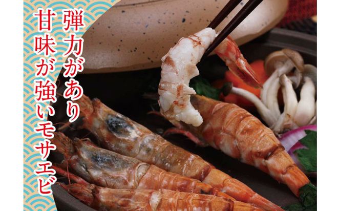 鳥取県産 生食用もさ海老 山田屋 312011_BH002