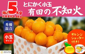 不知火 とにかく 小玉 箱込 5kg(内容量約 4.4kg) 秀優品混合 和歌山県産 産地直送 【みかんの会】 	AX141