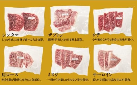 【希少部位含む！】おおいた和牛 10種盛りセット_2503R