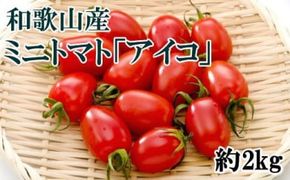 【4月出荷分】和歌山産ミニトマト「アイコトマト」約2kg（S・Mサイズおまかせ）　※北海道、沖縄、離島への配送不可　※2026年4月上旬～4月下旬頃に順次発送予定
