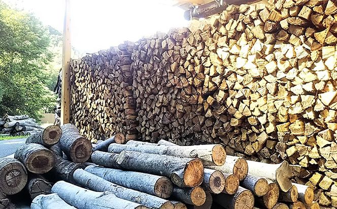 森のちから【五名の薪】20kg×5箱(配送不可:北海道・沖縄県・離島地域) アウトドア キャンプ キャンプ用品 燃料 雑貨 日用品 アウトドア用品 ソロキャン 調理 焚き火 暖取り 