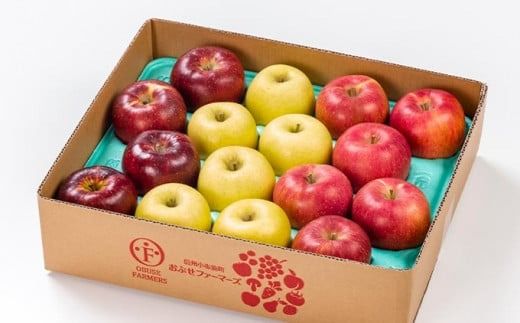 信州りんご3兄弟詰合せ 約5kg 11～18玉 ［おぶせファーマーズ］ りんご 林檎 リンゴ 果物 フルーツ 秋映 シナノスイート シナノゴールド 長野県産 令和7年産 【2025年10月中旬〜11月上旬発送】 ［F-244］