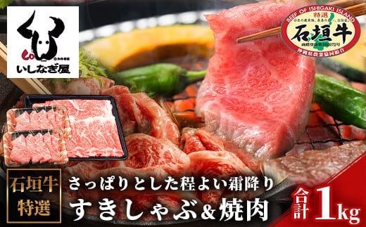 yꌧΊ_szΊ_600g{ē400gZbgiȂjy I   јa a  zAB-8