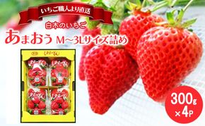 いちご いちご職人 白木のいちご あまおう 300g×4パック詰め (M～3Lサイズ) イチゴ 苺 果物 デザート ※配送不可：沖縄・離島