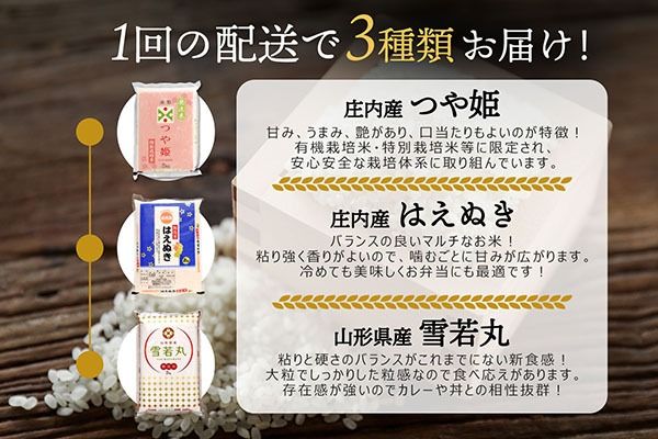 山形のブランド米！食べ比べ 6kgセット 無洗米 2kg×3袋 つや姫 はえぬき 雪若丸 令和7年産 2025年産 コシヒカリの原点、亀の尾発祥の地 庄内