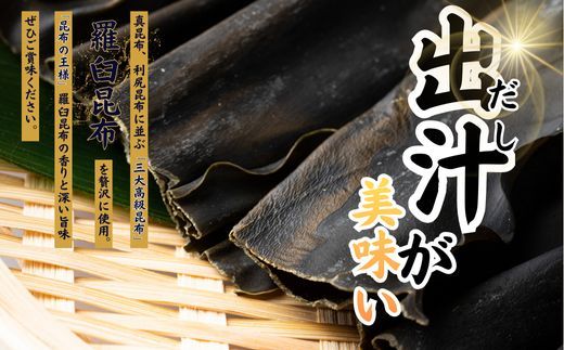 ご当地うどん 宗像 英ちゃんうどん かけうどん10食セット（名物 煮昆布付き）【エムエム西日本】_HA1779