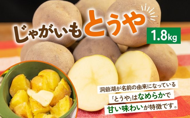 数量限定 根菜3種セット 計8.6kg 土付き 長芋 5kg 土付き ごぼう 1.8kg じゃがいも 1.8kg 先行予約 2026年11月下旬～12月下旬までのお届け 野菜 詰め合わせ 根菜 常温 青野農園 北海道 洞爺湖町