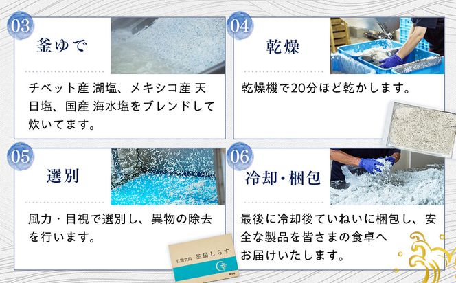 日間賀島 釜揚げ しらす 1kg 天然 塩 愛知県 南知多町 冷凍 ご飯 ごはん パスタ サラダ ピザ 丼 料理 国産 パーティー 魚 さかな シラス ミネラル 人気 おすすめ