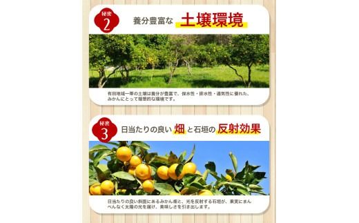 【訳あり】農家直送 有田みかん 約5kg ご家庭用 サイズ混合 ※11月中旬から1月中旬までに順次発送予定 （お届け日指定不可）※北海道・沖縄・離島への配送不可　訳ありみかん 温州みかんイズ混合 訳ありみかん 温州みかん 有機質肥料100% ふるさと納税 柑橘 有田 産地直送【nuk161E】