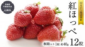 紅ほっぺ いちご 桐箱入り 12粒 【12月から発送開始】 （県内共通返礼品：石岡市産） フルーツ 果物 デザート イチゴ 苺 季節 桐箱 贈答 [BI351-NT]