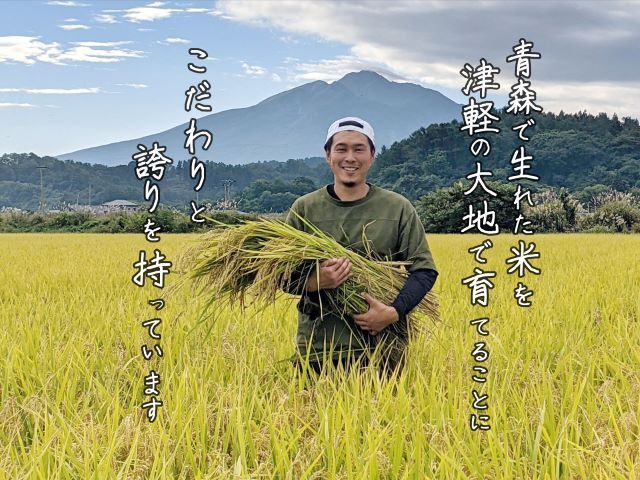 令和7年産 まっしぐら 白米 5kg [H.GREENWORK] 青森県 鯵ヶ沢産 / お米 精米 こめ おこめ ごはん 津軽