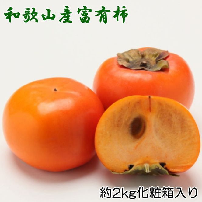 【先行予約】 [厳選・産直]  富有柿 約2kg  2L～4Lサイズ 化粧箱入り 和歌山県産｜かき フルーツ 柿 果物 くだもの 和歌山県産