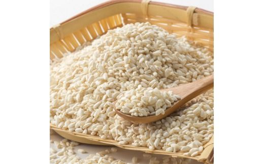 冷凍米麹(米こうじ) 2.5kg (500g×5袋) 生冷凍袋入 /湯浅発酵食品研究所【kztb807】