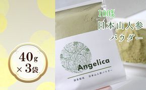 ★希少★日本山人参パウダー40g×3袋 飲料類 お茶 野菜/人参 