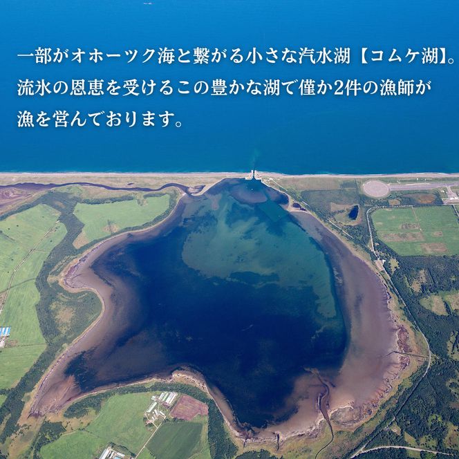 34-47 生 うに 紋別コムケ湖産 ミョウバン不使用 200g（100g×2個）
