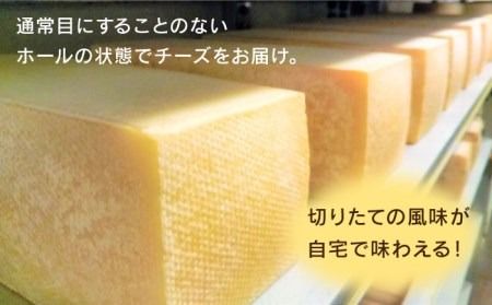 【糸島産生乳100％使用の手作りチーズ】コハク熟成 1ホール 糸島市 / 糸島ナチュラルチーズ製造所TAK-タック- [AYC011] チーズ 乳