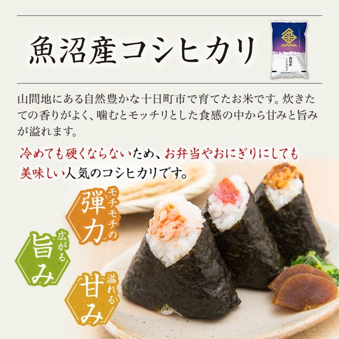 【令和7年産米】魚沼産こしひかり(十日町地域) 精米 2kg 8月配送 お米 精米 こめ ご飯 白米 旧：五郎兵衛