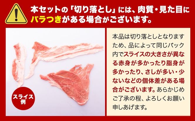 豚肉 うまか ポーク バラエティ セット 2.4kg 4.6kg 豚肉 しゃぶしゃぶ 切り落とし 豚ロース バラ 豚バラ スライス 以上 定期便 真空 不揃い 数量限定 簡易包装 冷凍配送 小分け 《12月出荷》 豚肉---oz_fbrets_ac12_25_17000_4600g---