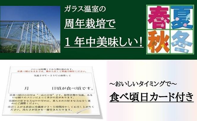【12ヶ月定期便】クラウンメロン（白等級）特大玉　1玉入 