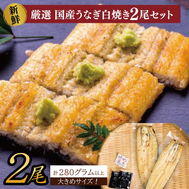 大きな国内産うなぎ白焼(酒蒸し)140～160g×2尾　計280g以上｜うなぎ 鰻 ウナギ 国産 国産うなぎ 白焼き 白焼 酒蒸し 土用の丑の日 丑の日 茨城県 行方市(AD-146)
