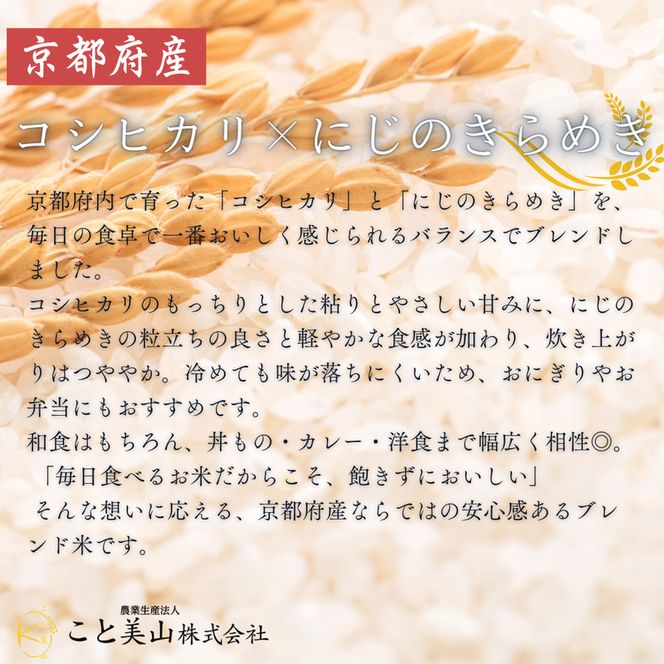 訳あり 令和7年産 こと美山米 10kg 精米 コシヒカリ にじのきらめき
