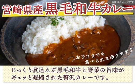 みやざきカレー3種セット※ポスト投函_LB-15-002