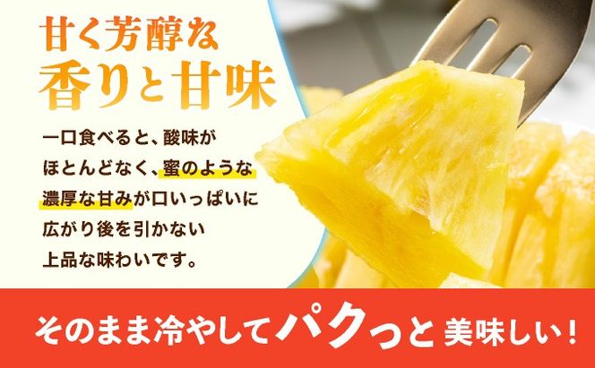 ≪5月上旬順次発送≫ 訳あり ゴールドバレル 小 3玉（約3kg） TP-18